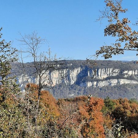 Gite Des 2 Lions Murs-et-Gelignieux ภายนอก รูปภาพ